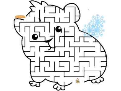 MAZE HAMSTER